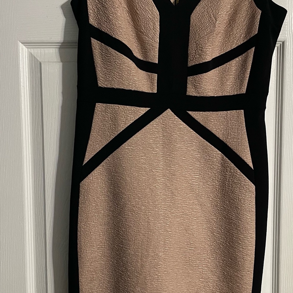 Elegant Black and Tan Women's Dress
